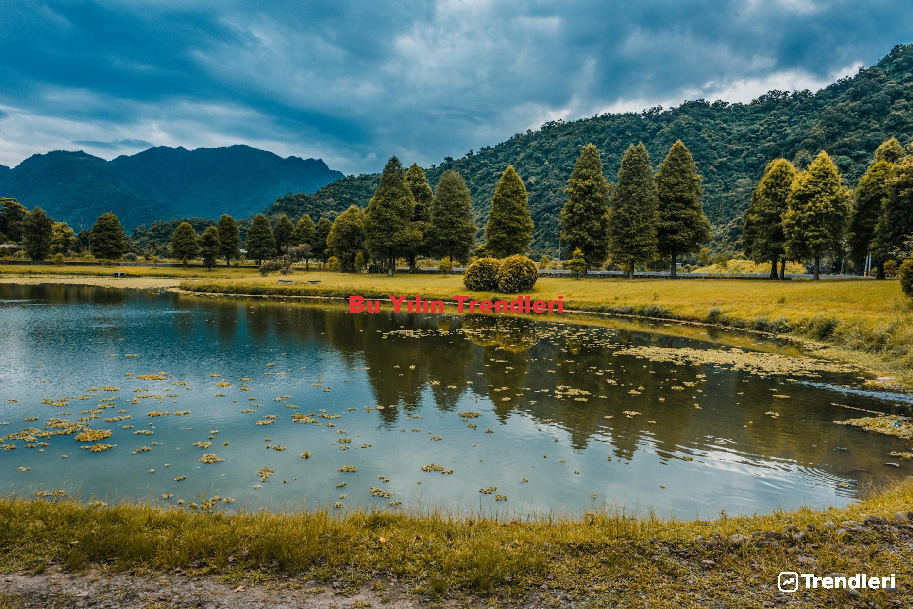 Bu Yılın Trendleri