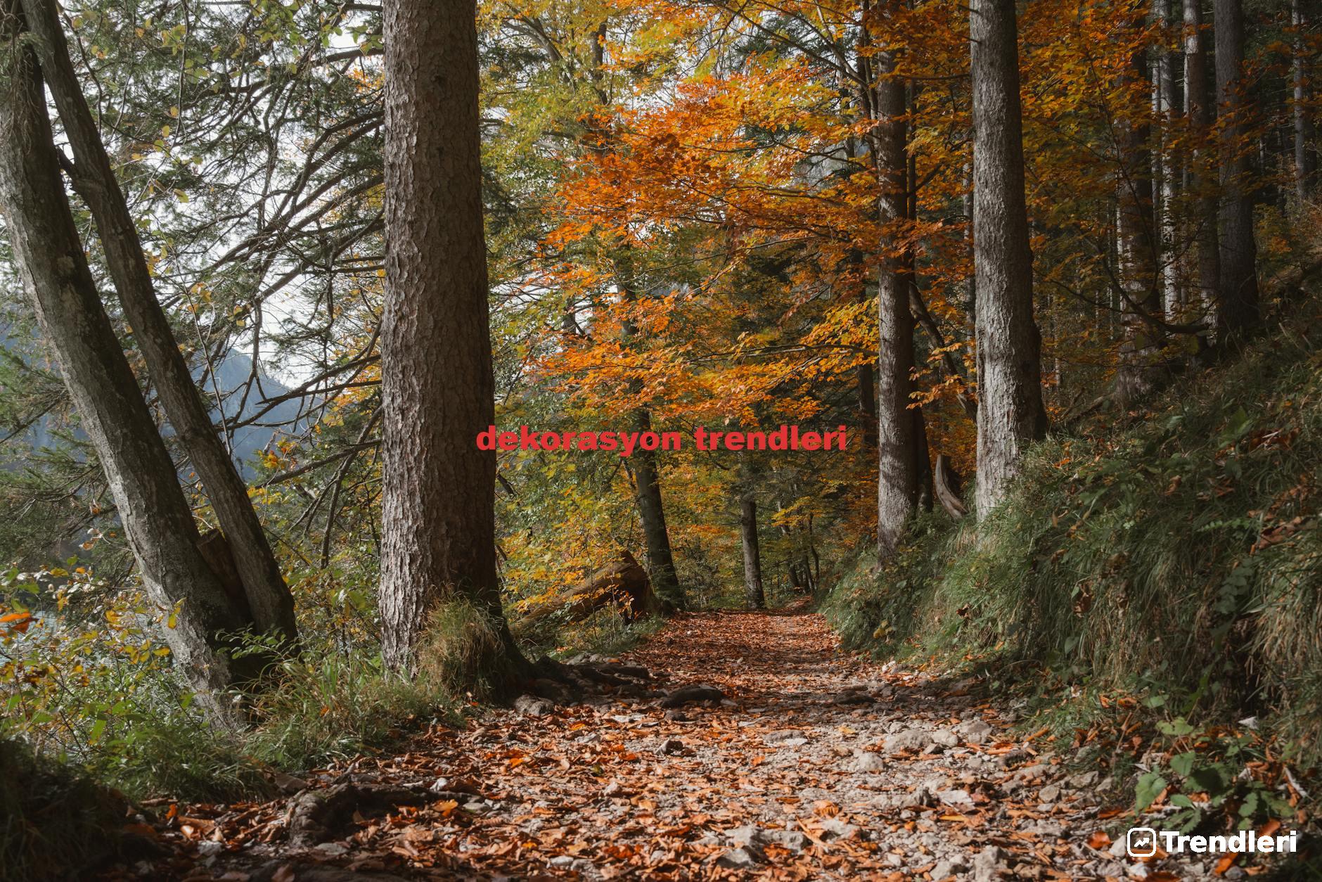 dekorasyon trendleri