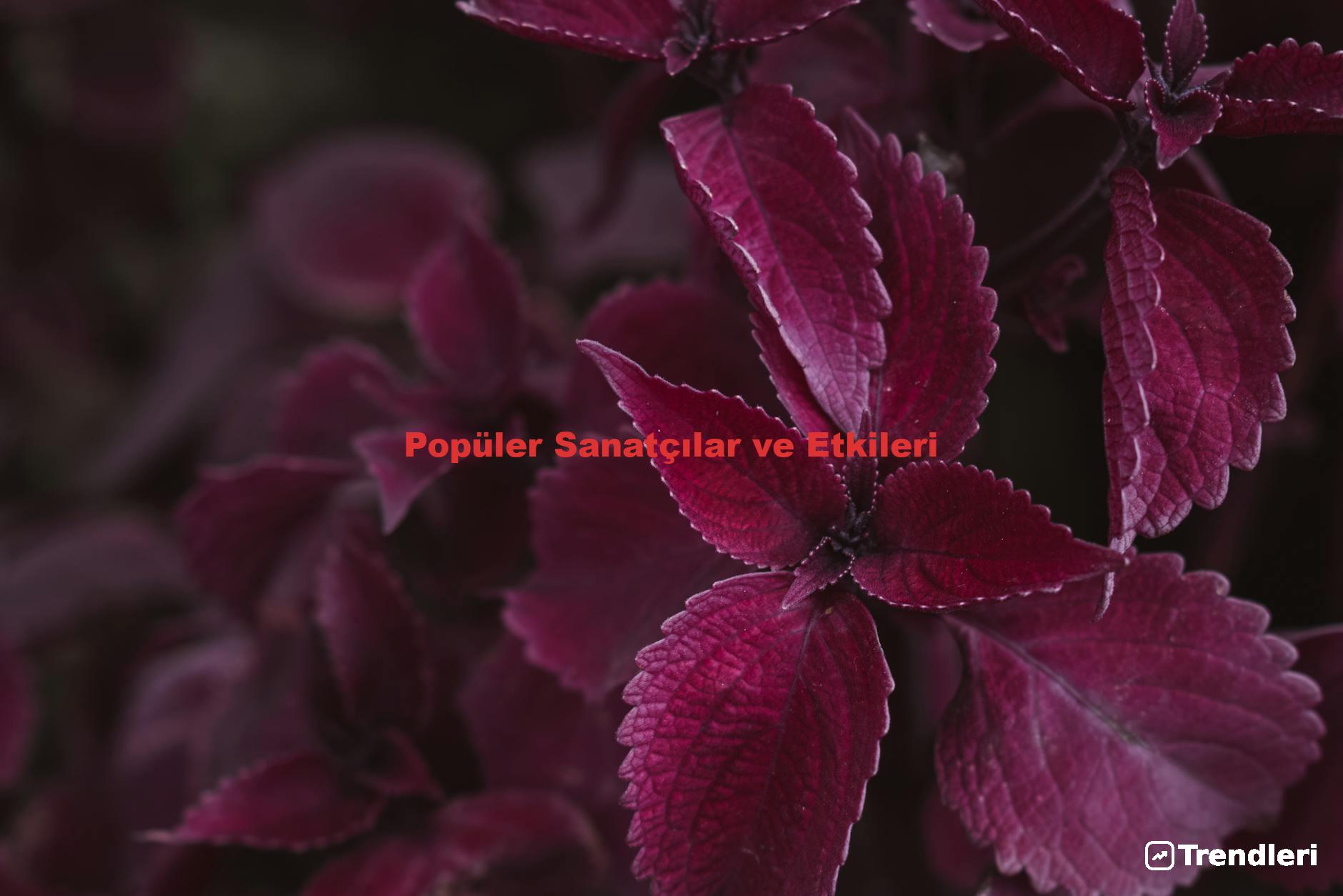 Popüler Sanatçılar ve Etkileri