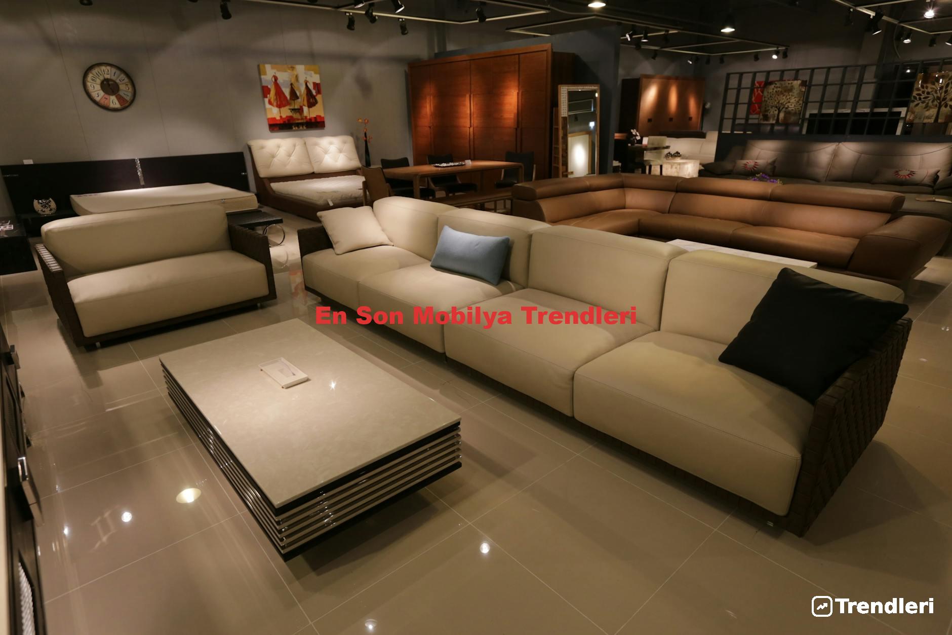En Son Mobilya Trendleri