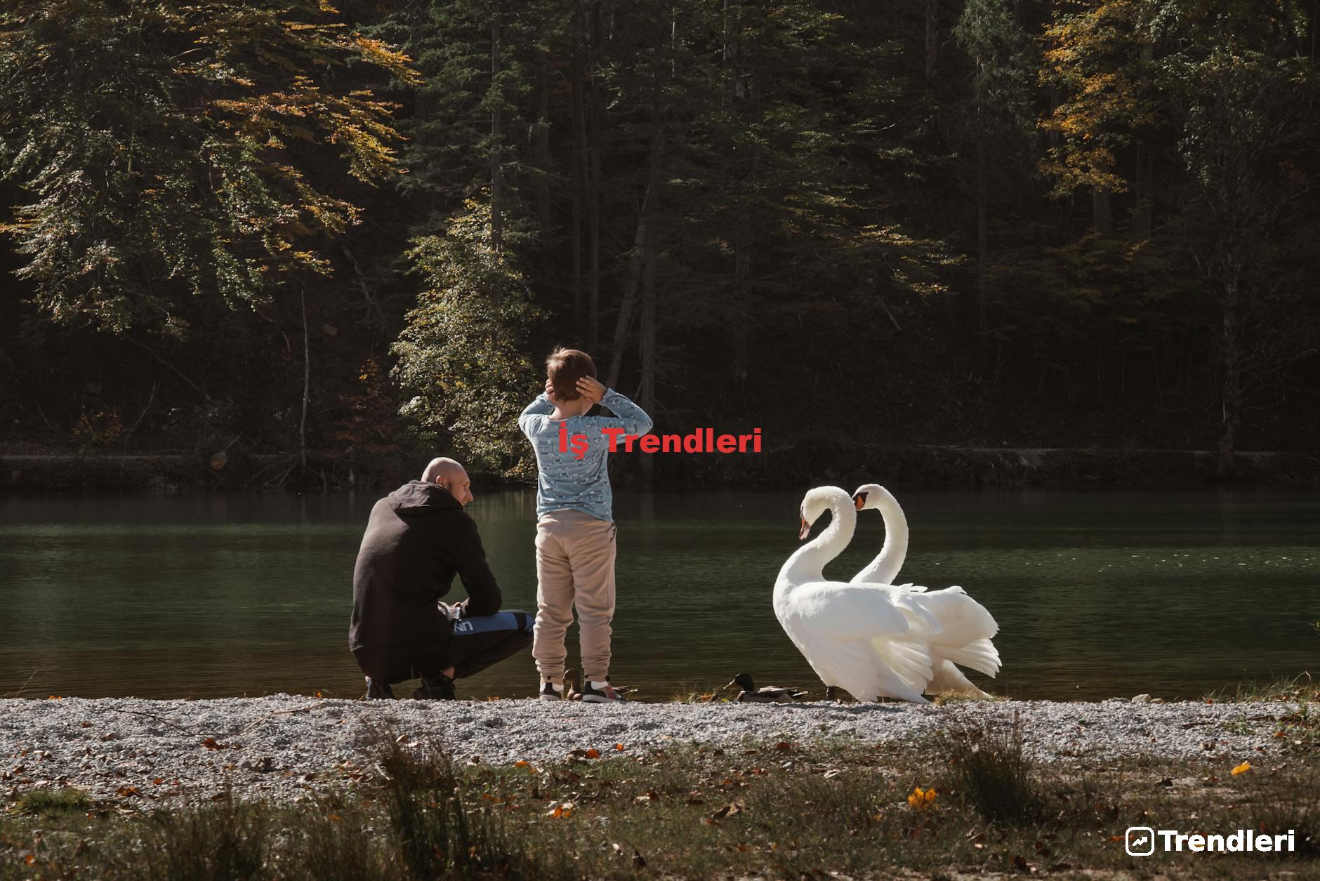 İş Trendleri