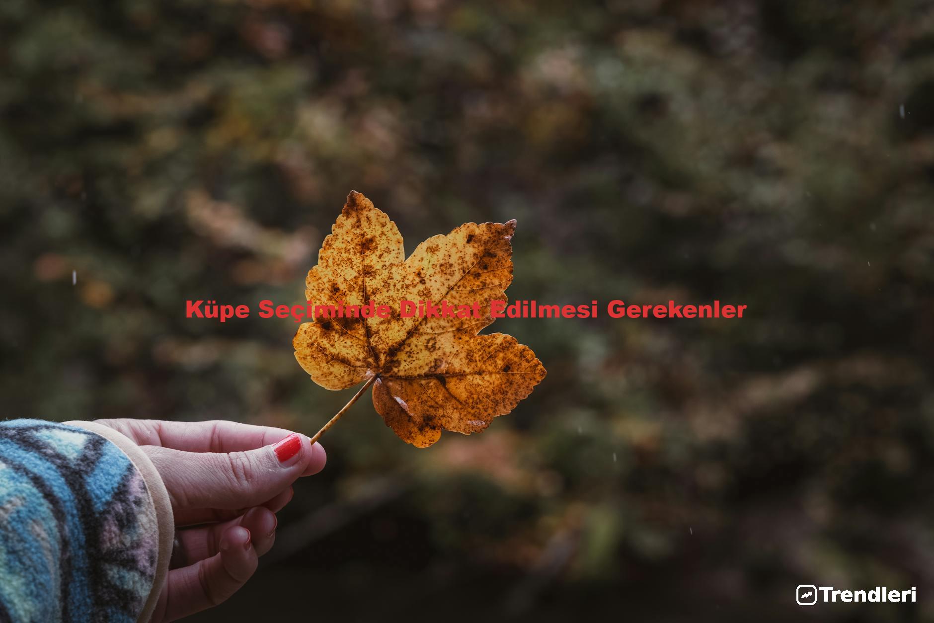 Küpe Seçiminde Dikkat Edilmesi Gerekenler