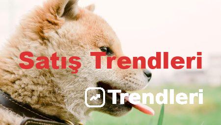 Satış Trendleri