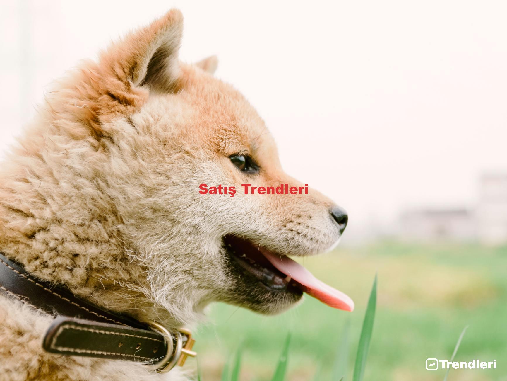 Satış Trendleri
