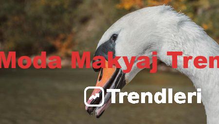 Son Moda Makyaj Trendleri
