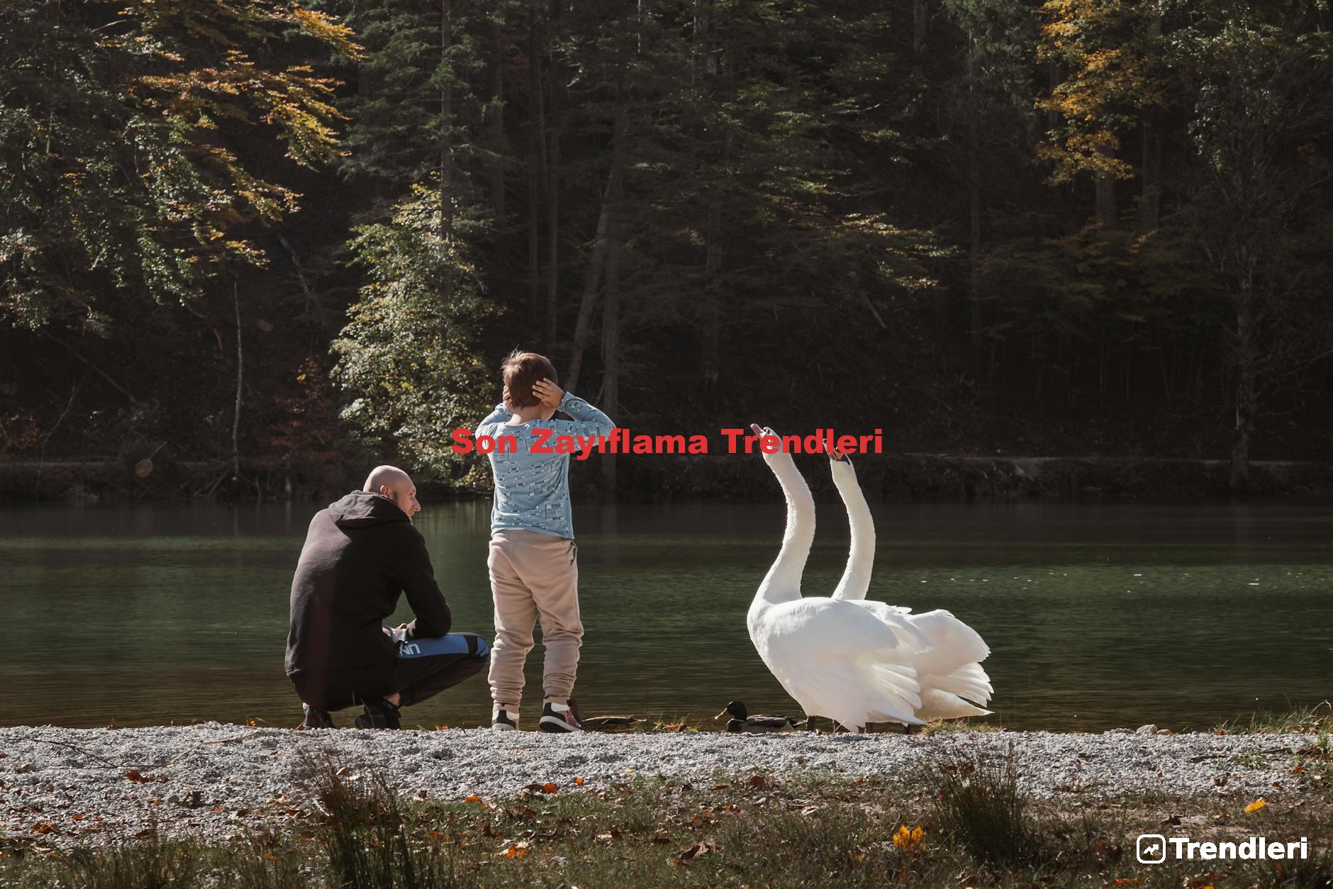 Son Zayıflama Trendleri