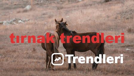 tırnak trendleri