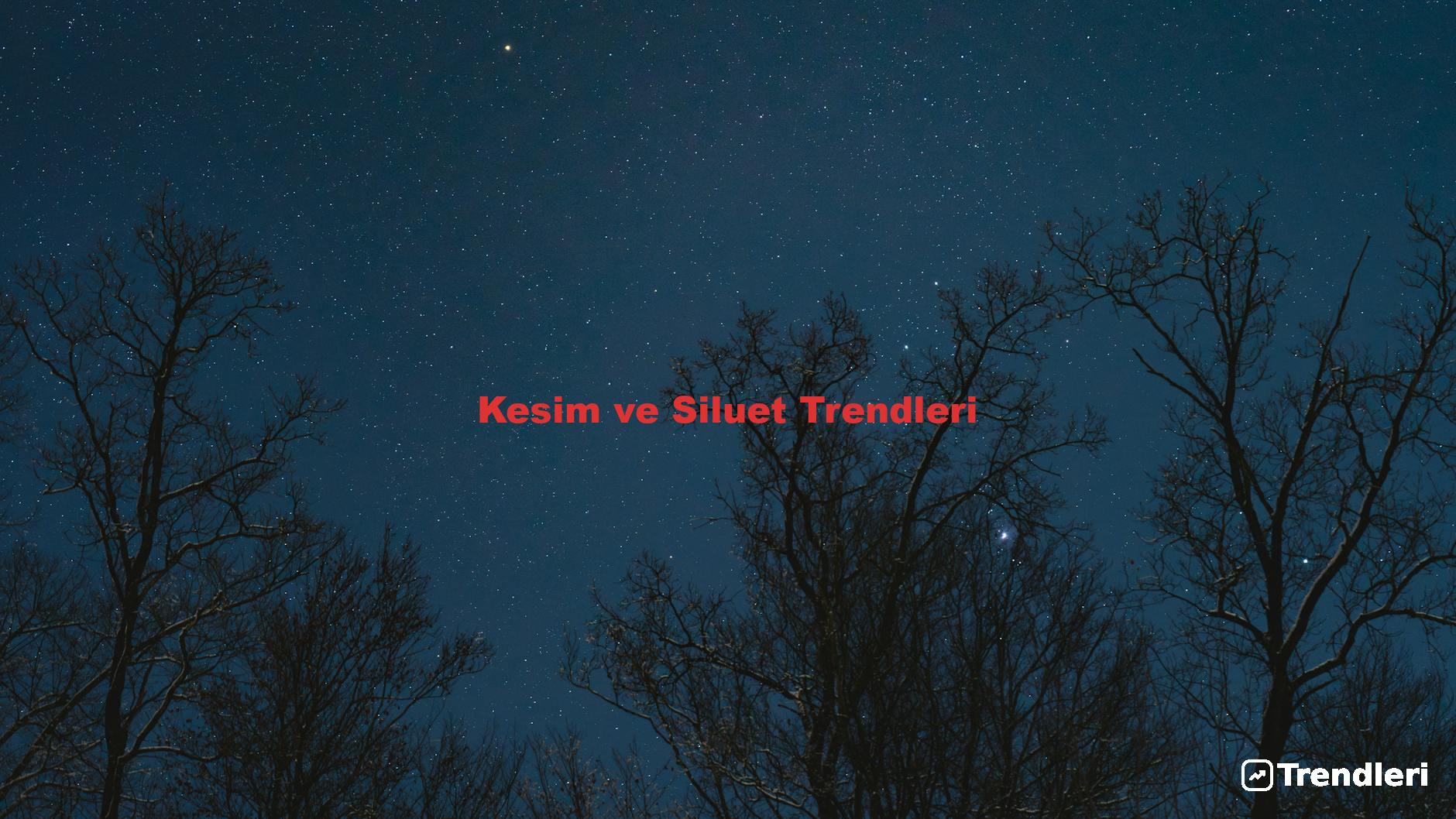Kesim ve Siluet Trendleri