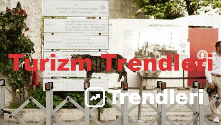 Turizm Trendleri