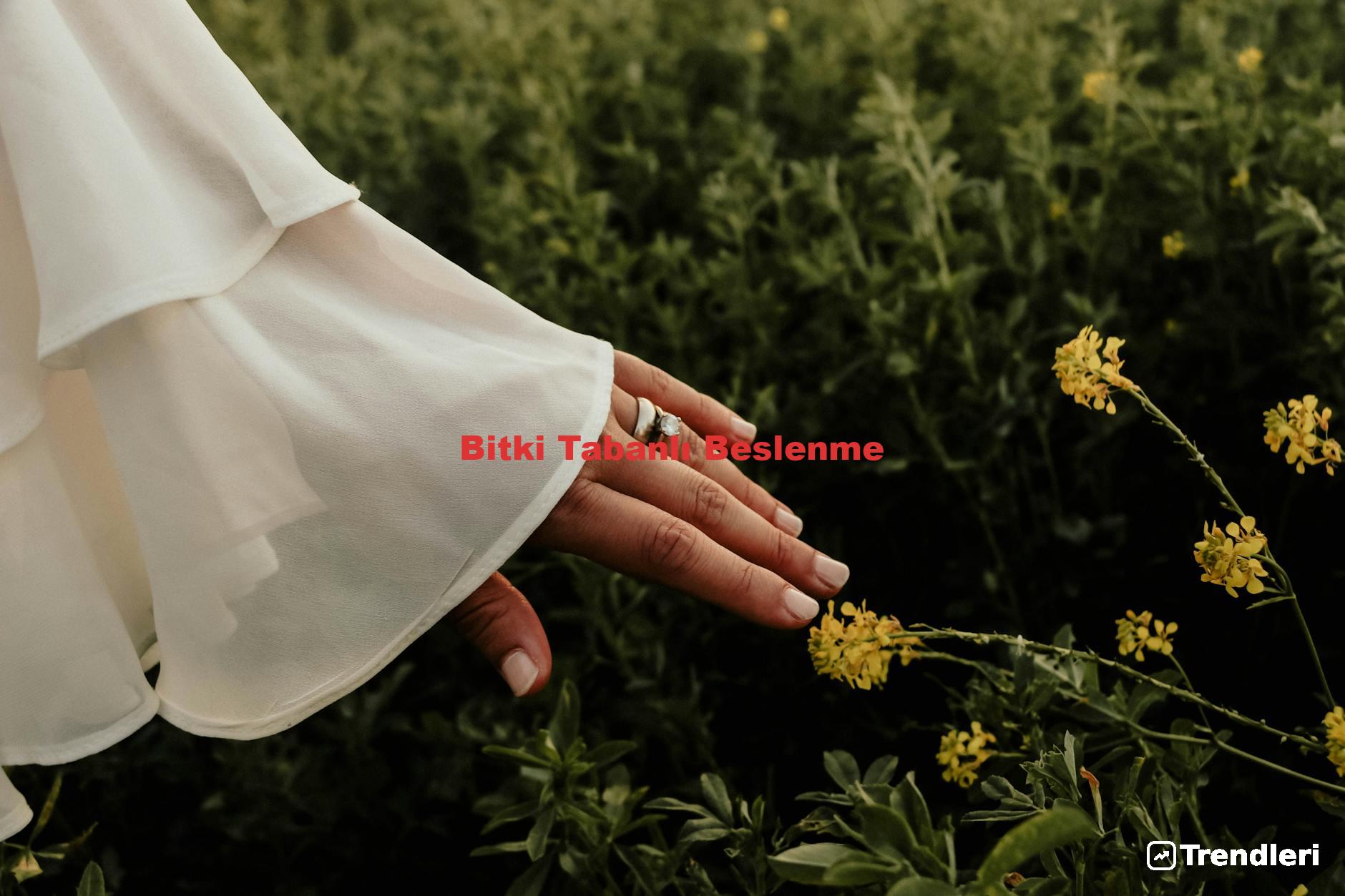 Bitki Tabanlı Beslenme