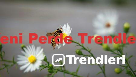 Yeni Perde Trendleri