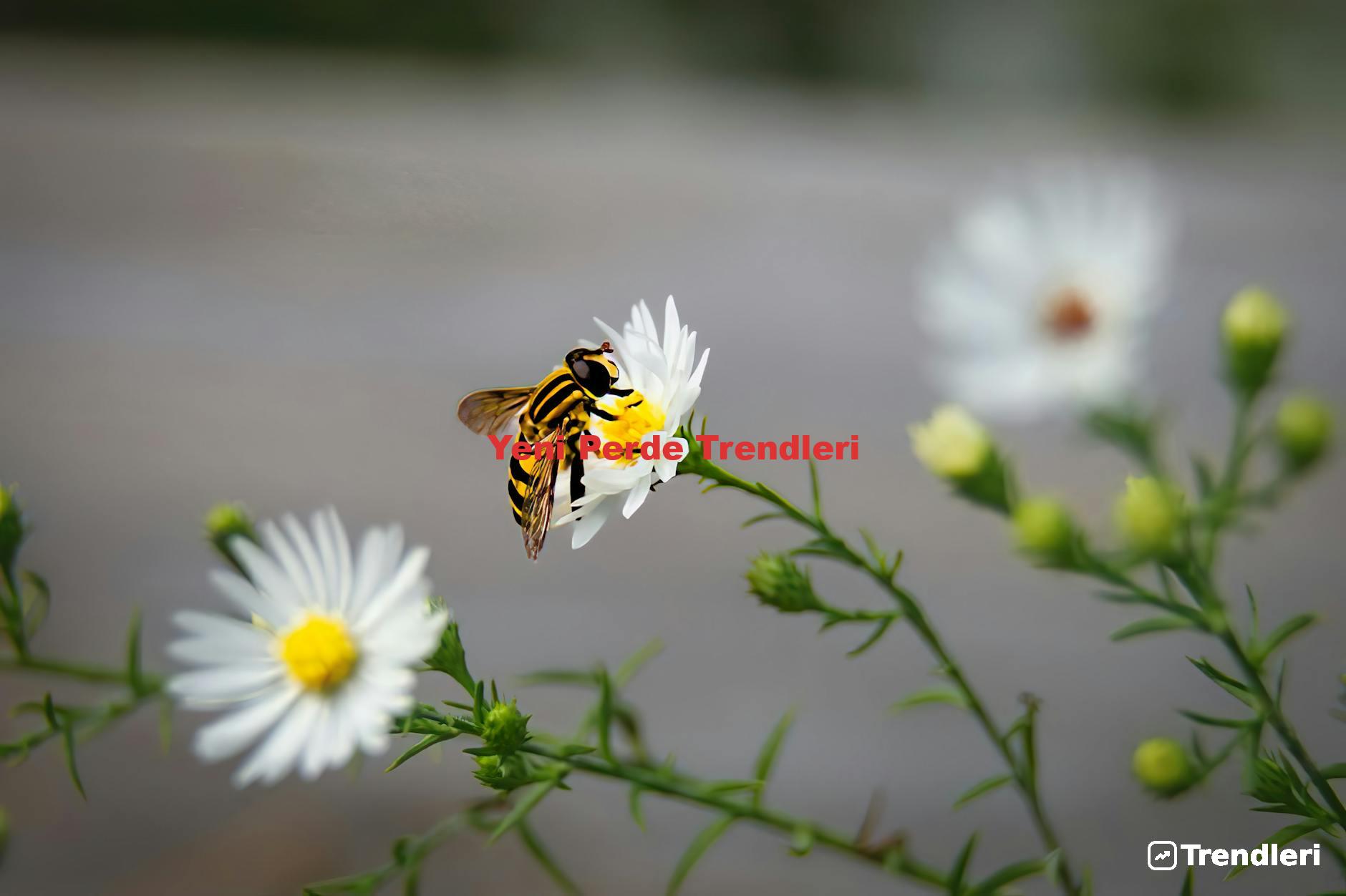 Yeni Perde Trendleri