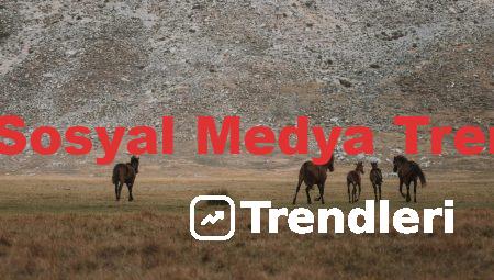 Yeni Sosyal Medya Trendleri