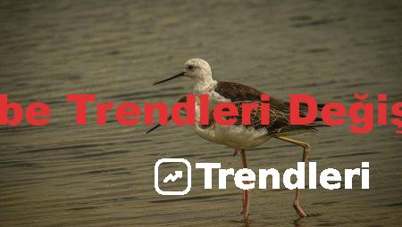 Youtube Trendleri Değiştirme