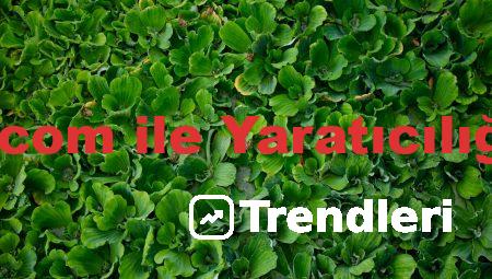 Yazacaklar.com ile Yaratıcılığınızı Artırın