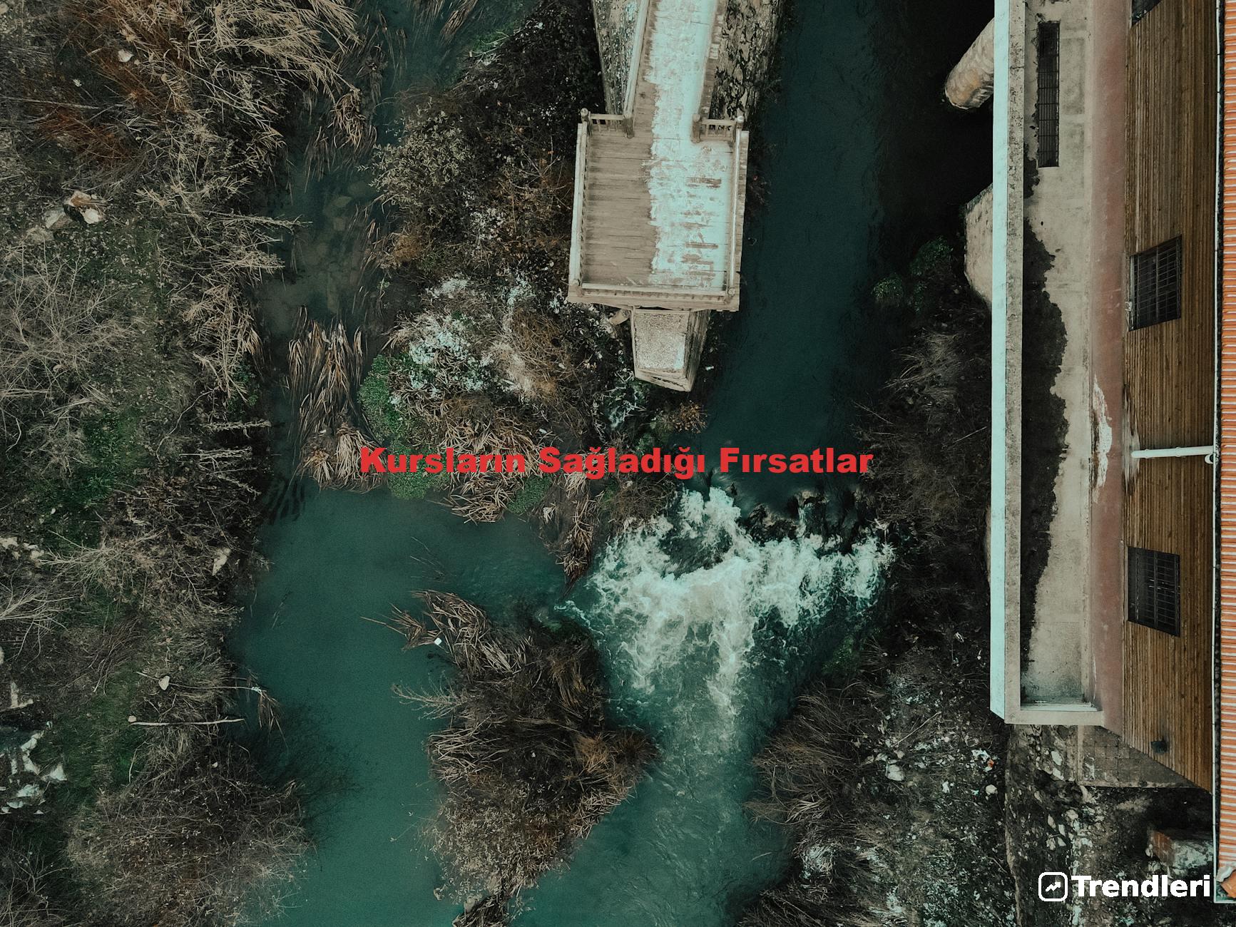 Kursların Sağladığı Fırsatlar