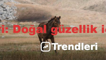 Kozmetik ürünleri: Doğal güzellik için en iyi ipuçları