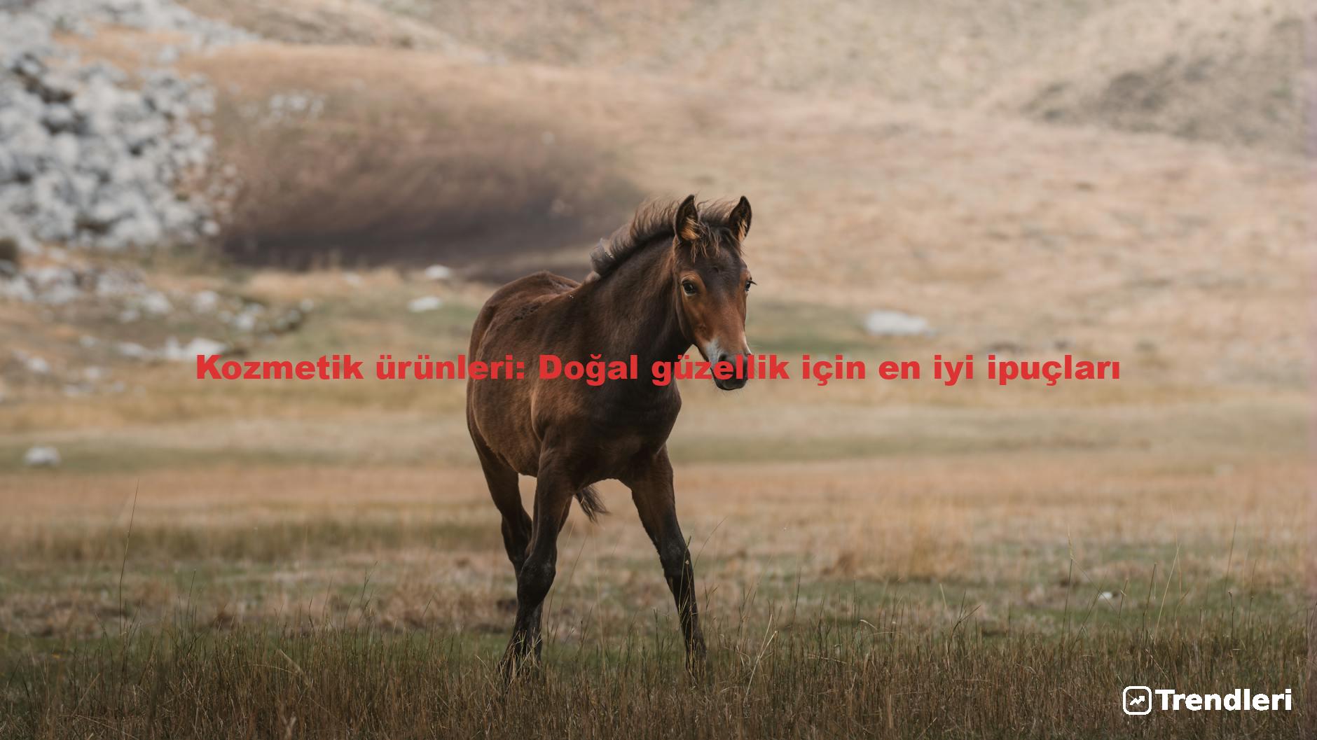 Kozmetik ürünleri: Doğal güzellik için en iyi ipuçları