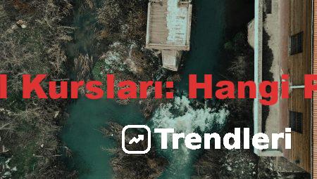 Maltepe’deki Dil Kursları: Hangi Programlar Var?