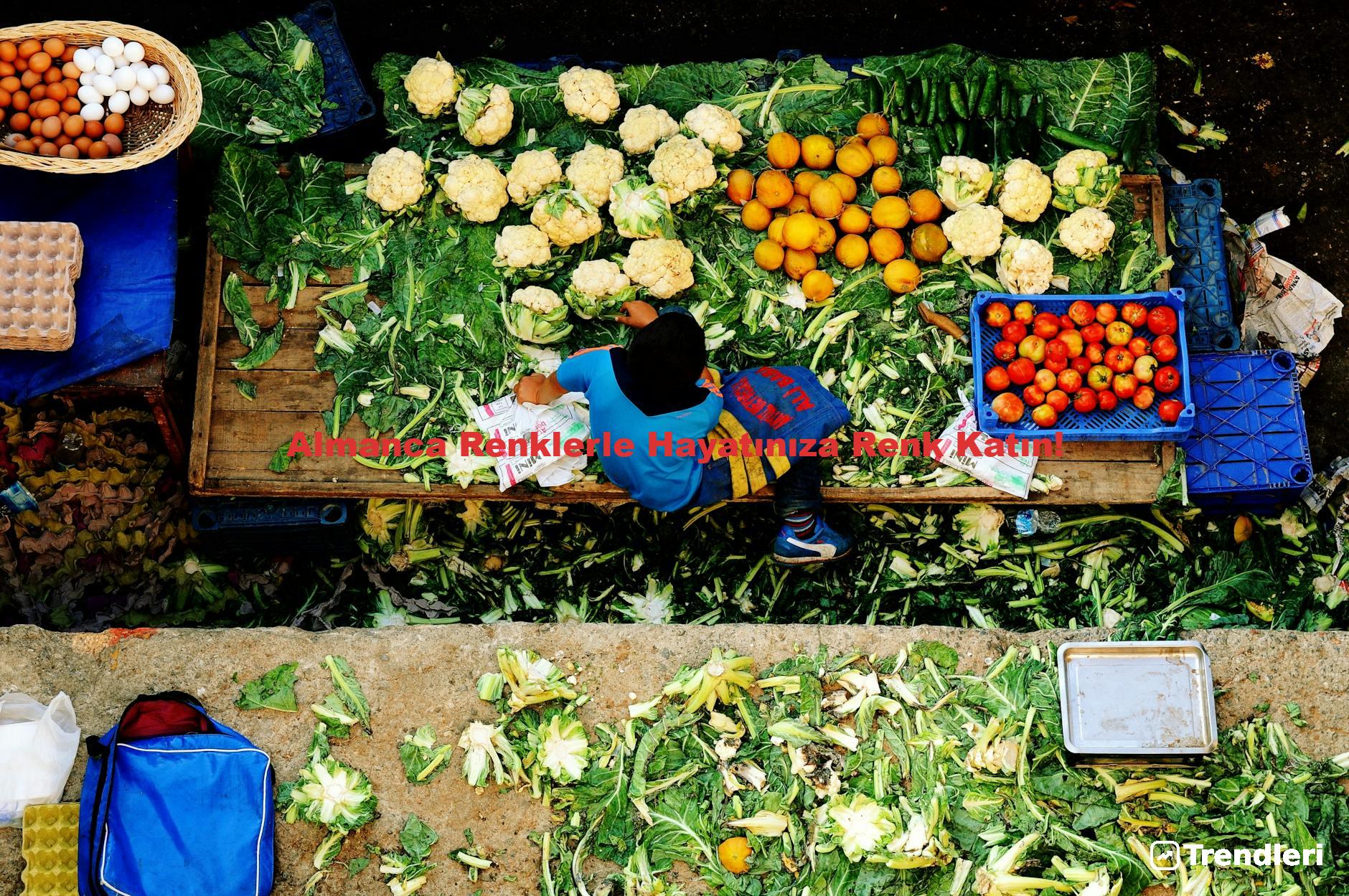 Almanca Renklerle Hayatınıza Renk Katın!