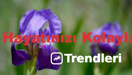 Tavsiye.org.tr ile Hayatınızı Kolaylaştıracak İpuçları