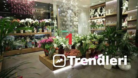 Online Çiçek Siparişinde Floksia’nın Fark Yaratan Hizmeti